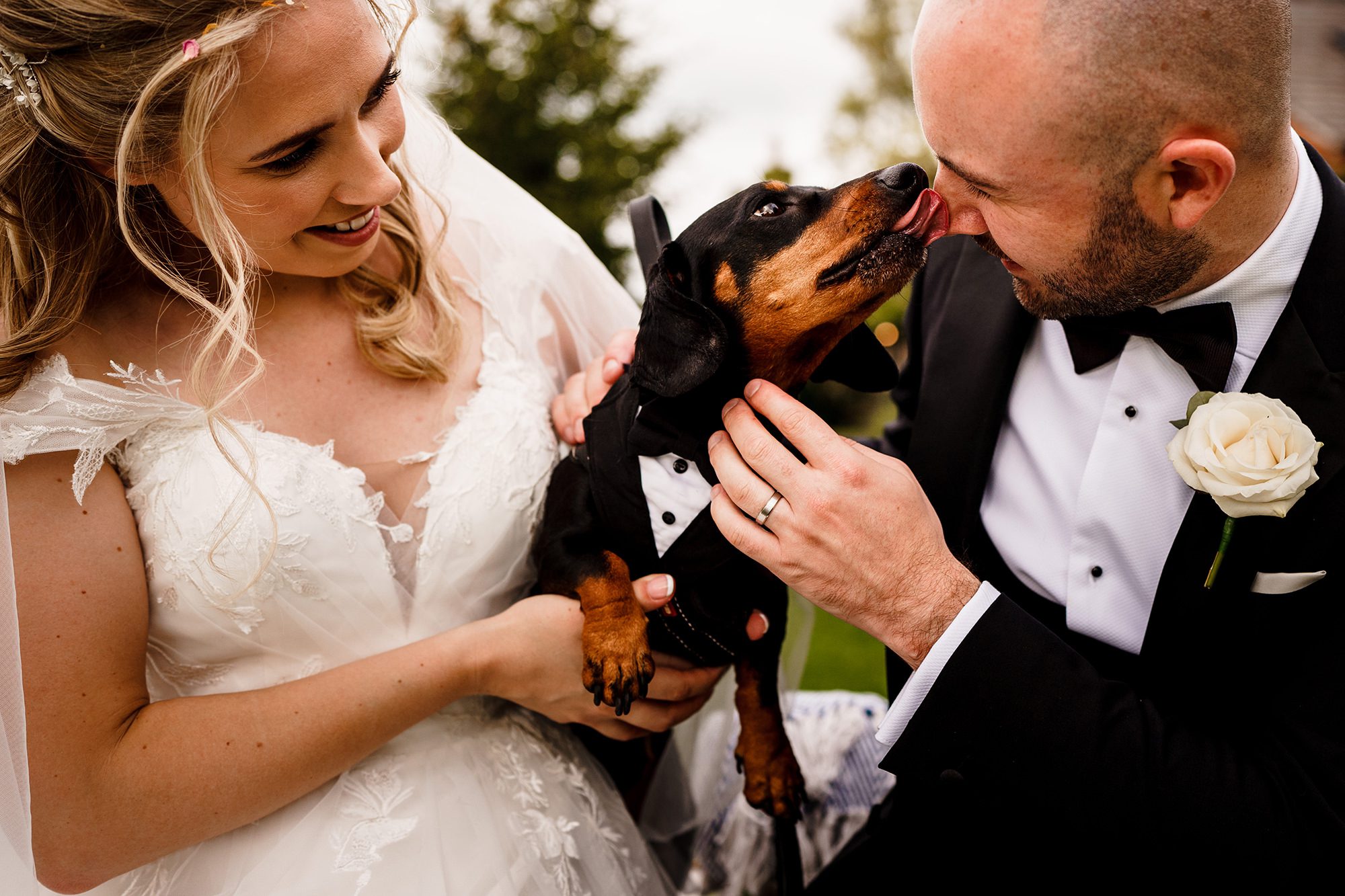 dog licking grooms face