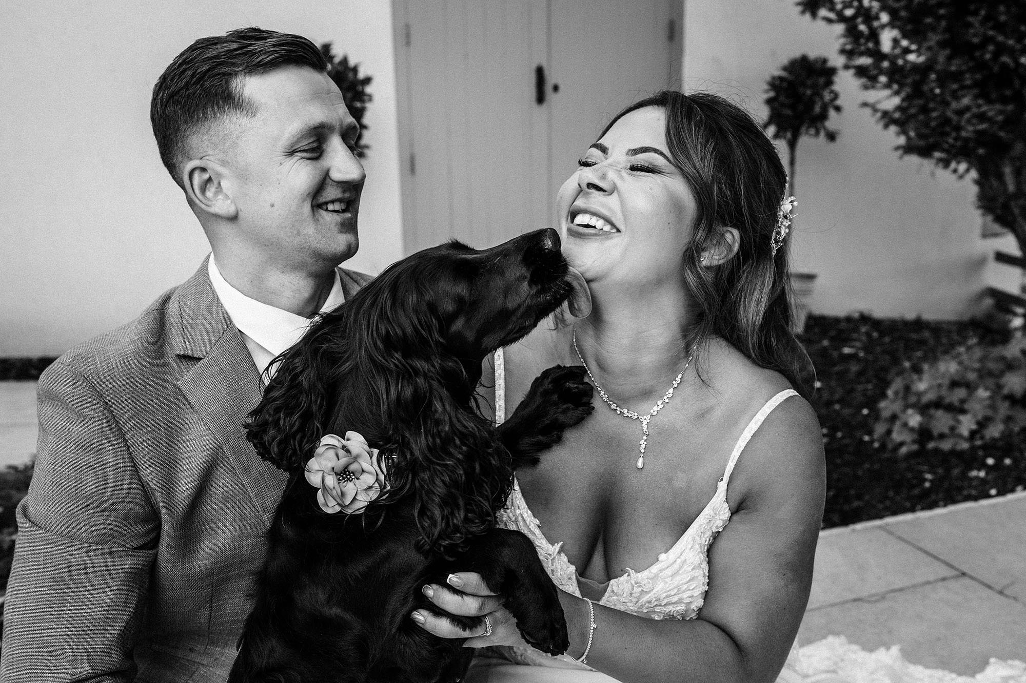 bride and groom celebrating with their dog