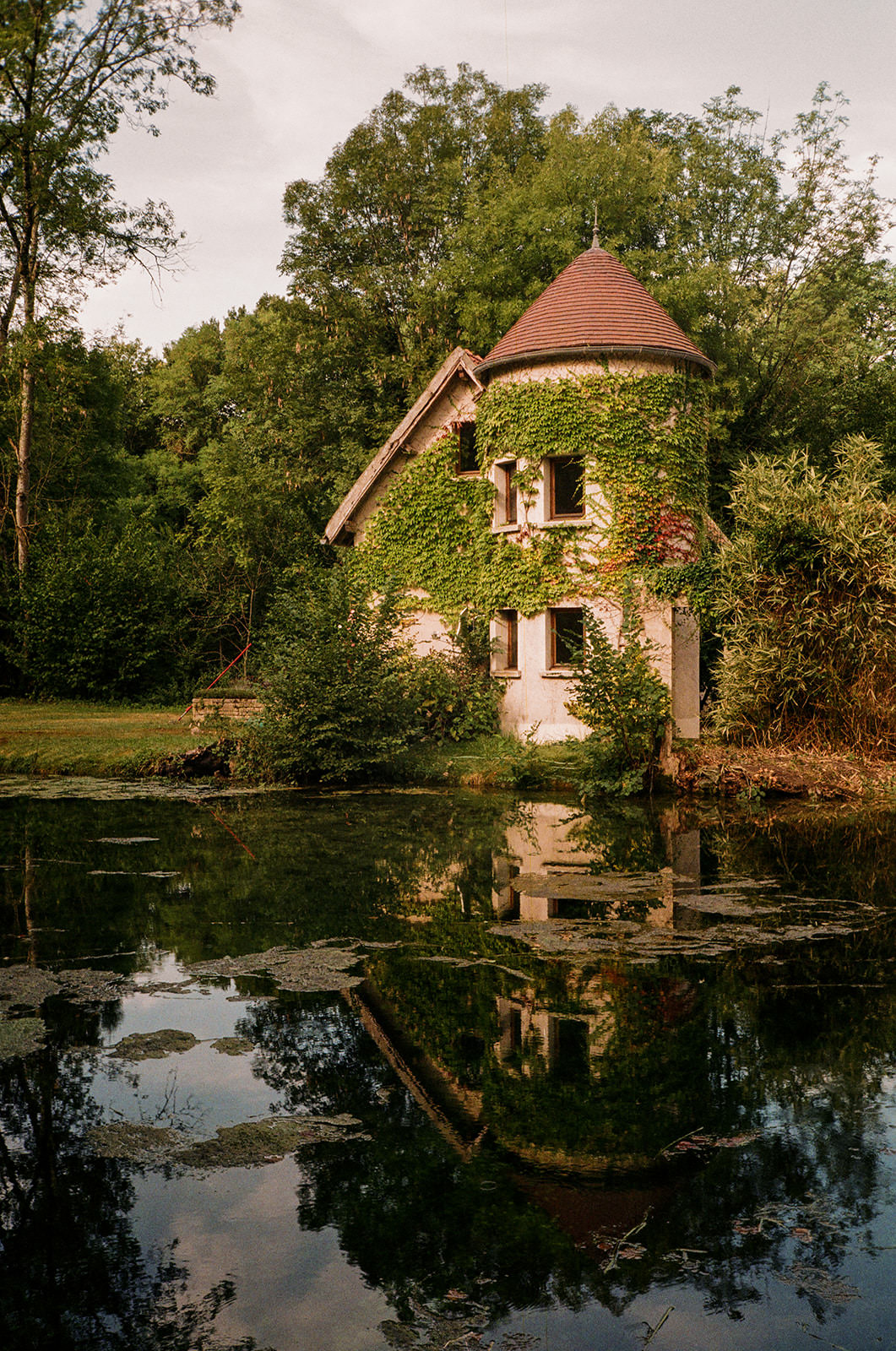 Kodak Gold film photograph from a wedding in France