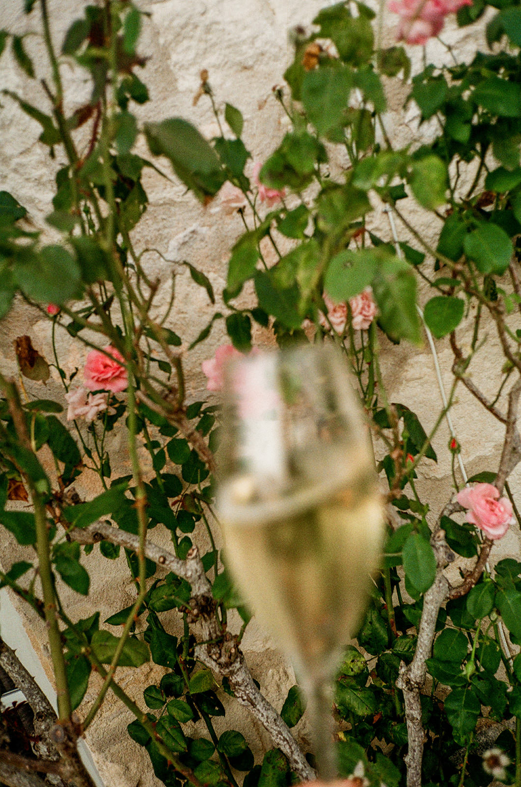 35mm film photograph from Theo and Rebecca's wedding in France